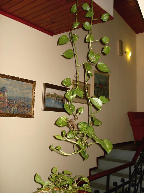 Hotel Hormeda ปราก ภายนอก รูปภาพ